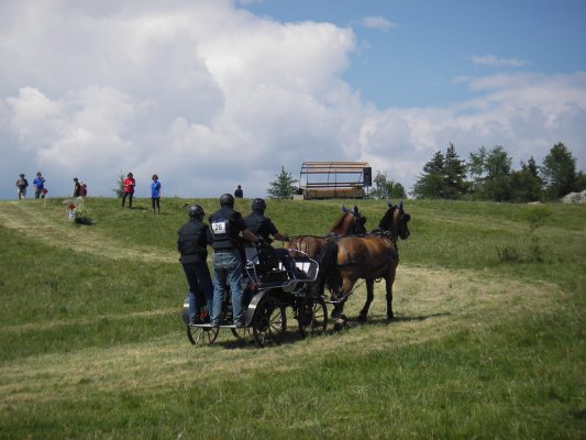 Calèche avec  3 personnes tirées par deux cheveaux