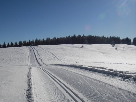 Piste noire 1316 Vue piste noire 1316