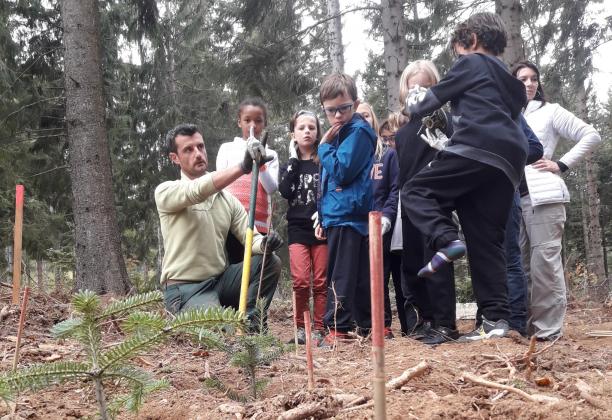 Encadrement ludique sans faille de l'ONF